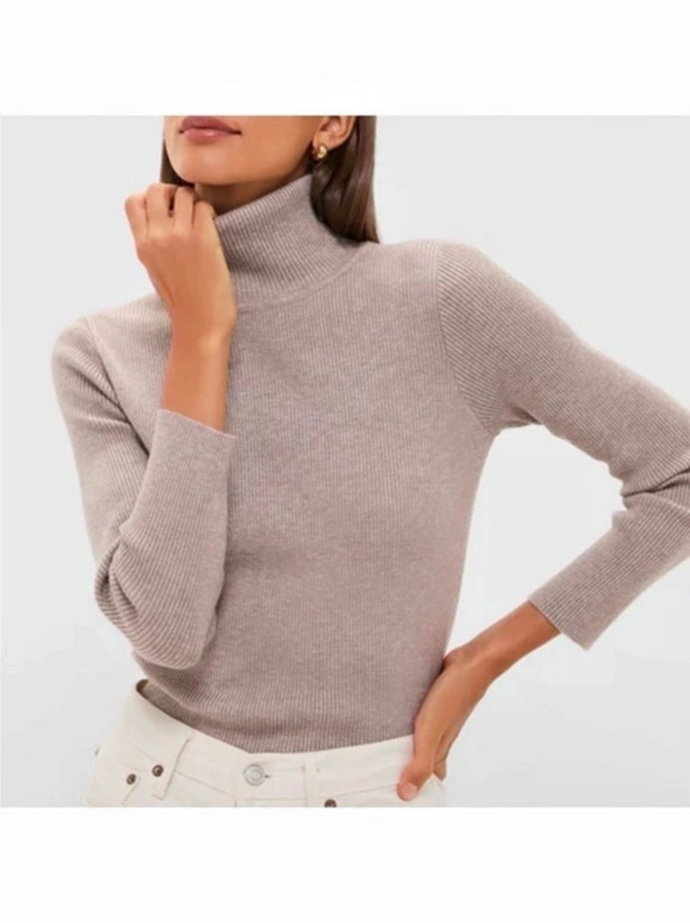 Pomander Place Arlo Ribbed Turtleneck Sweater Medium